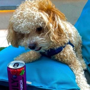 Meet your Posher, Kristen